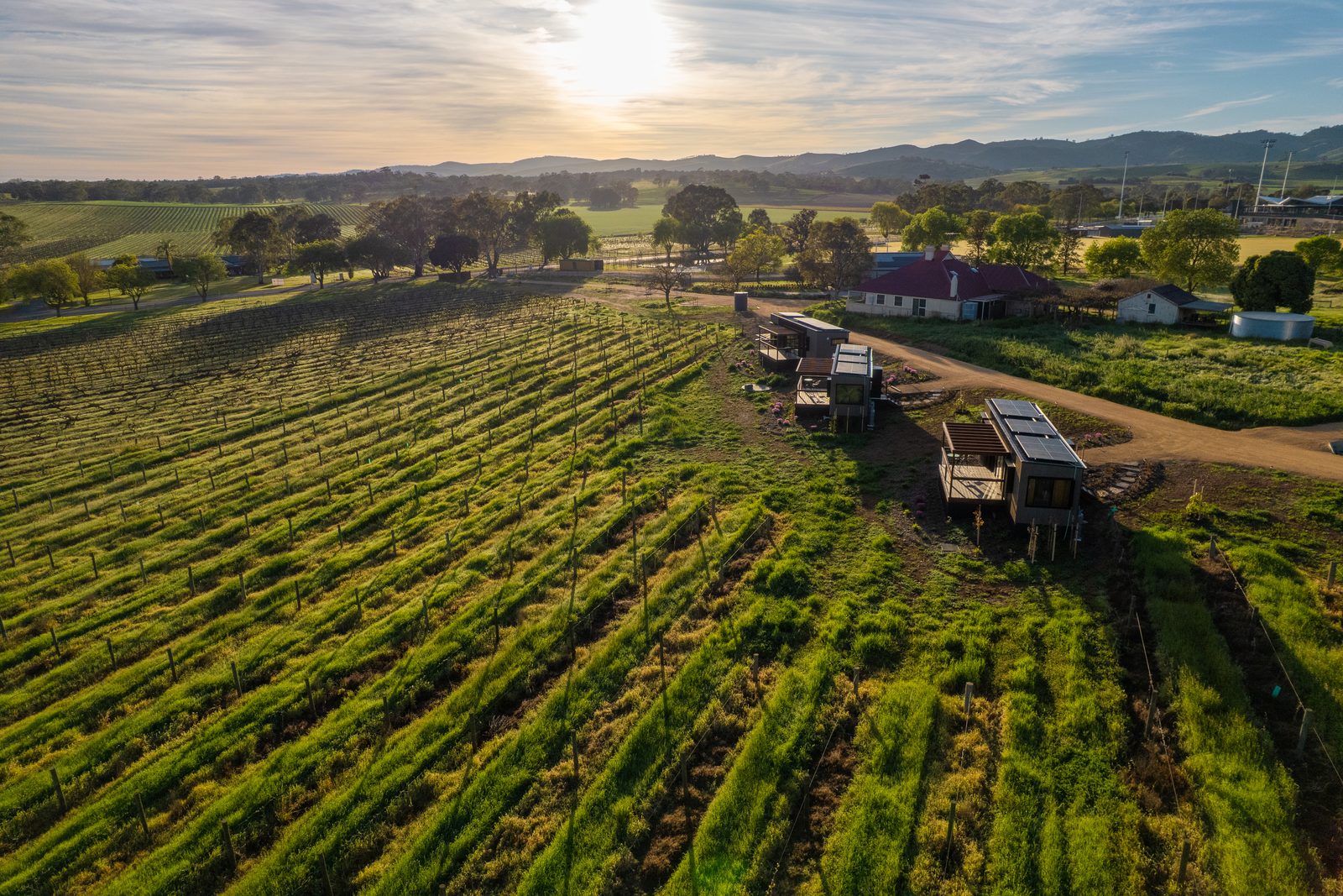 Barossa Valley (Lyndoch)